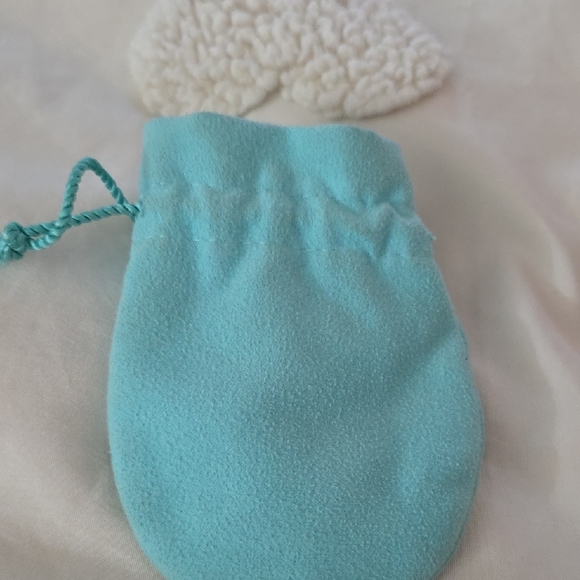 Tiffany & Co. Turquoise Pouch - Picture 4 of 4